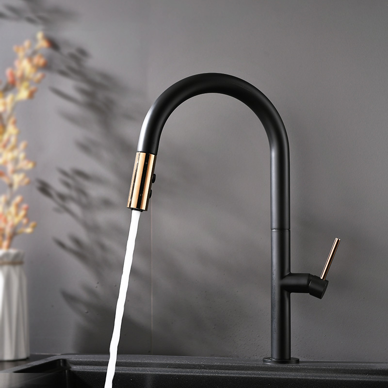 A2-1110139BK Kitchen Sink with Pull-Out Stainless Steel Faucet for Flexible Use